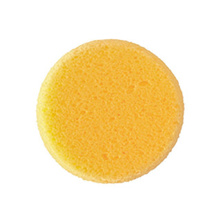 Hydra Synthetic Sponge 2 1/2"