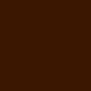 Mason Stain #6160 Dark Chocolate