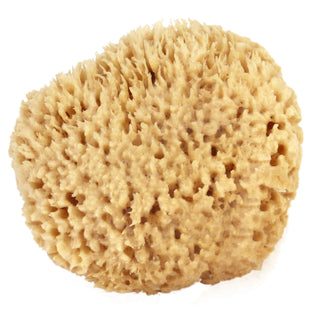 Seawool Sponge Large