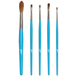 5 Piece Brush Set