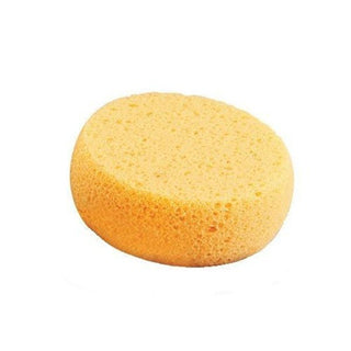 Hydra Synthetic Sponge 3 1/4"