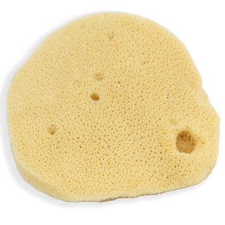 Select Elephant Ear Sponge: Very Thin With Fine Grain - Small