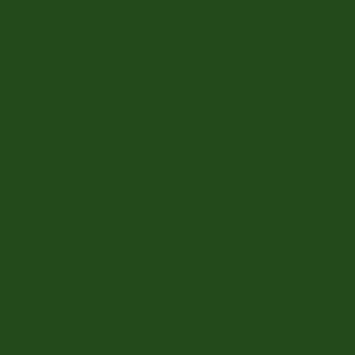 Mason Stain #6224 Dark Green Quarter Pound